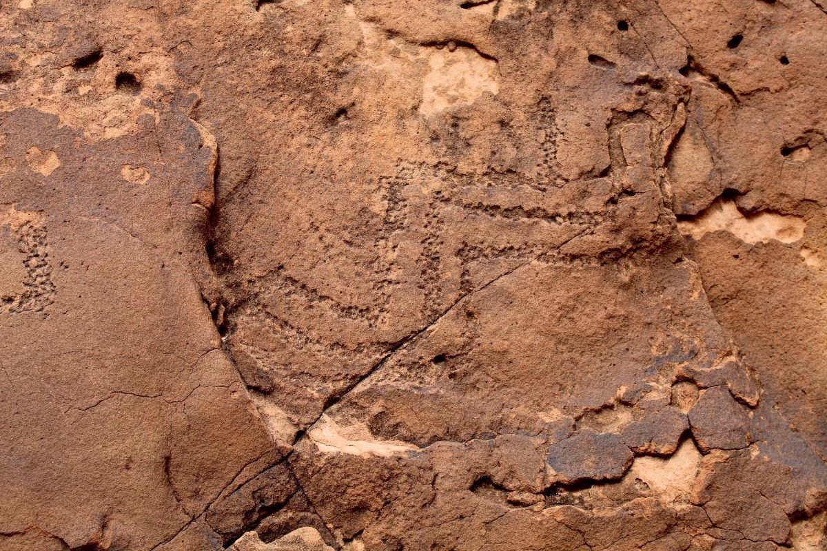 A close up of a rock with a lot of holes in it