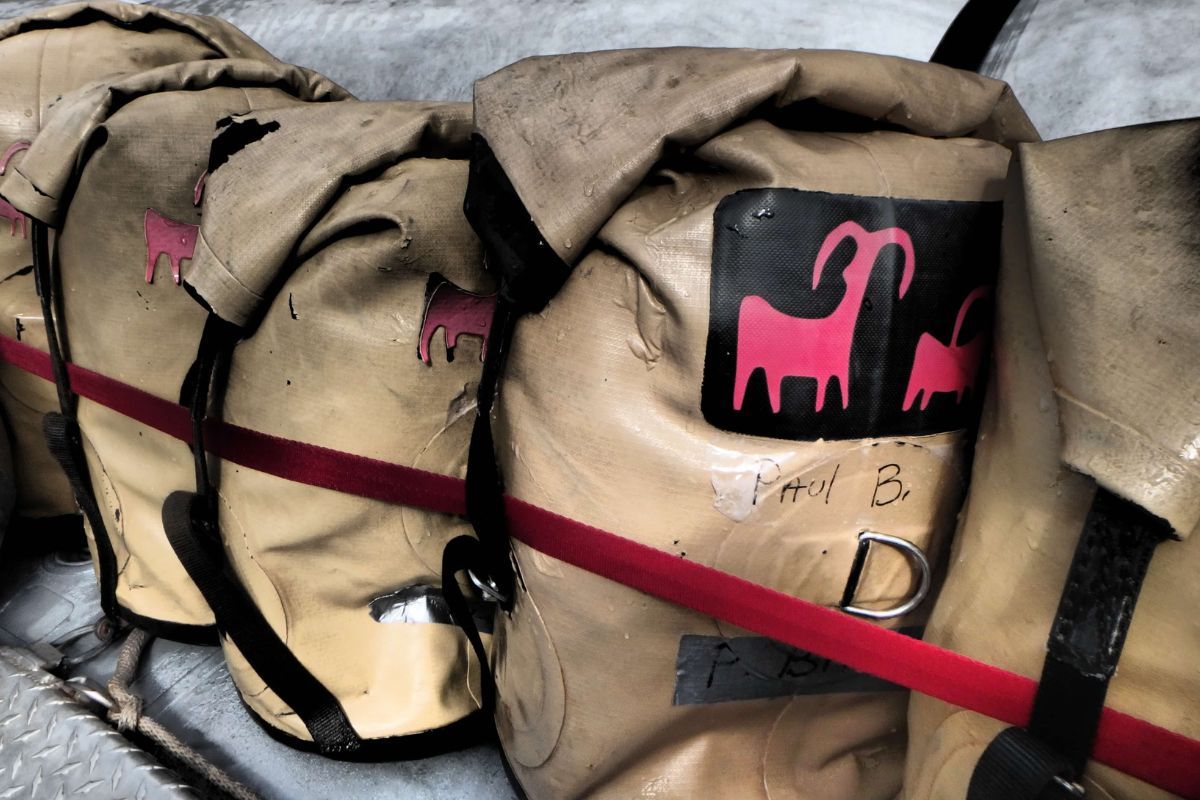 A bunch of bags are tied together with a red strap and one of them has a picture of a goat on it