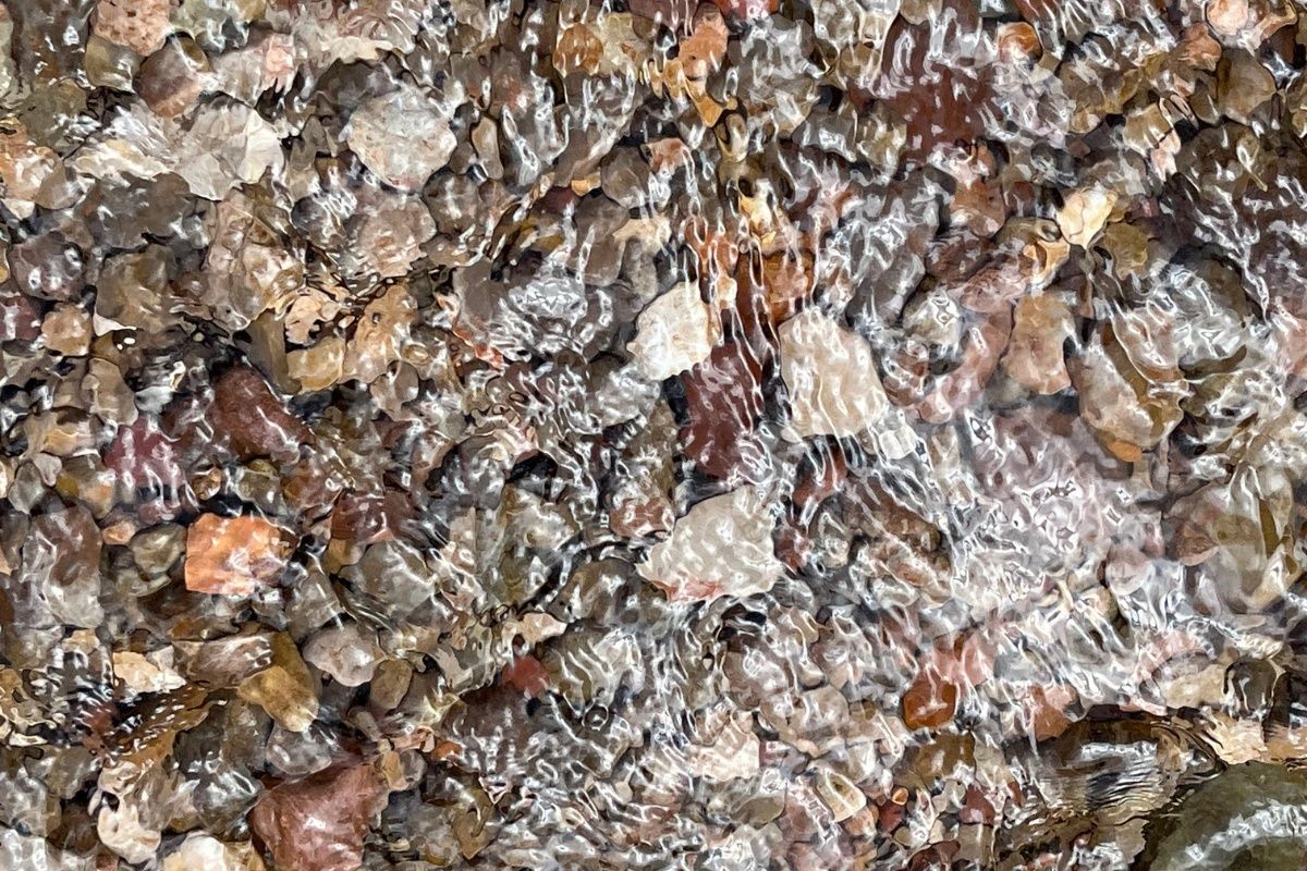 A close up of a pile of rocks and leaves on the ground.