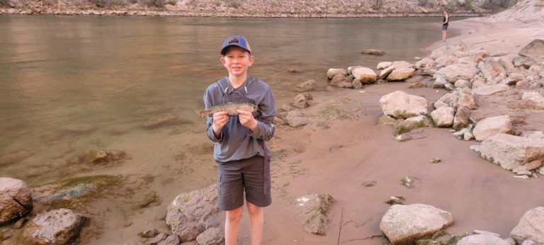 A young boy is standing on the shore of a lake holding a fish.