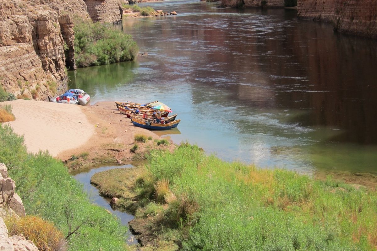 A group of rafts are sitting on the shore of a river