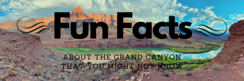A poster for fun facts about the grand canyon that you might not know