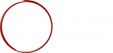 A red circle is drawn on a white background.