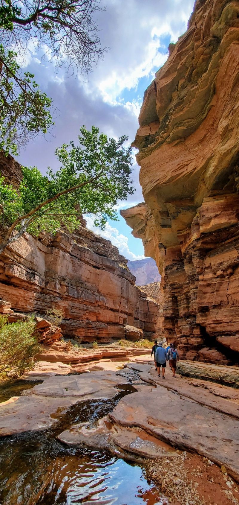 A couple of people are walking through a canyon next to a river.