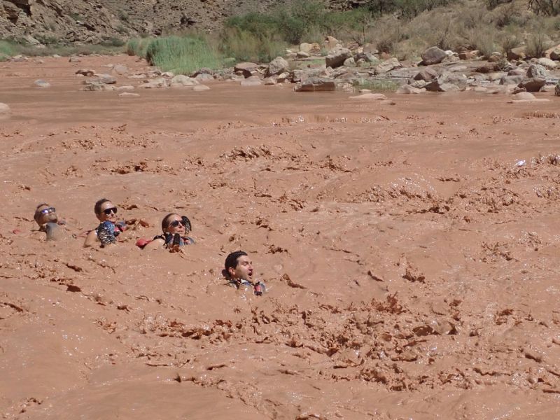 A group of people are swimming in a muddy river