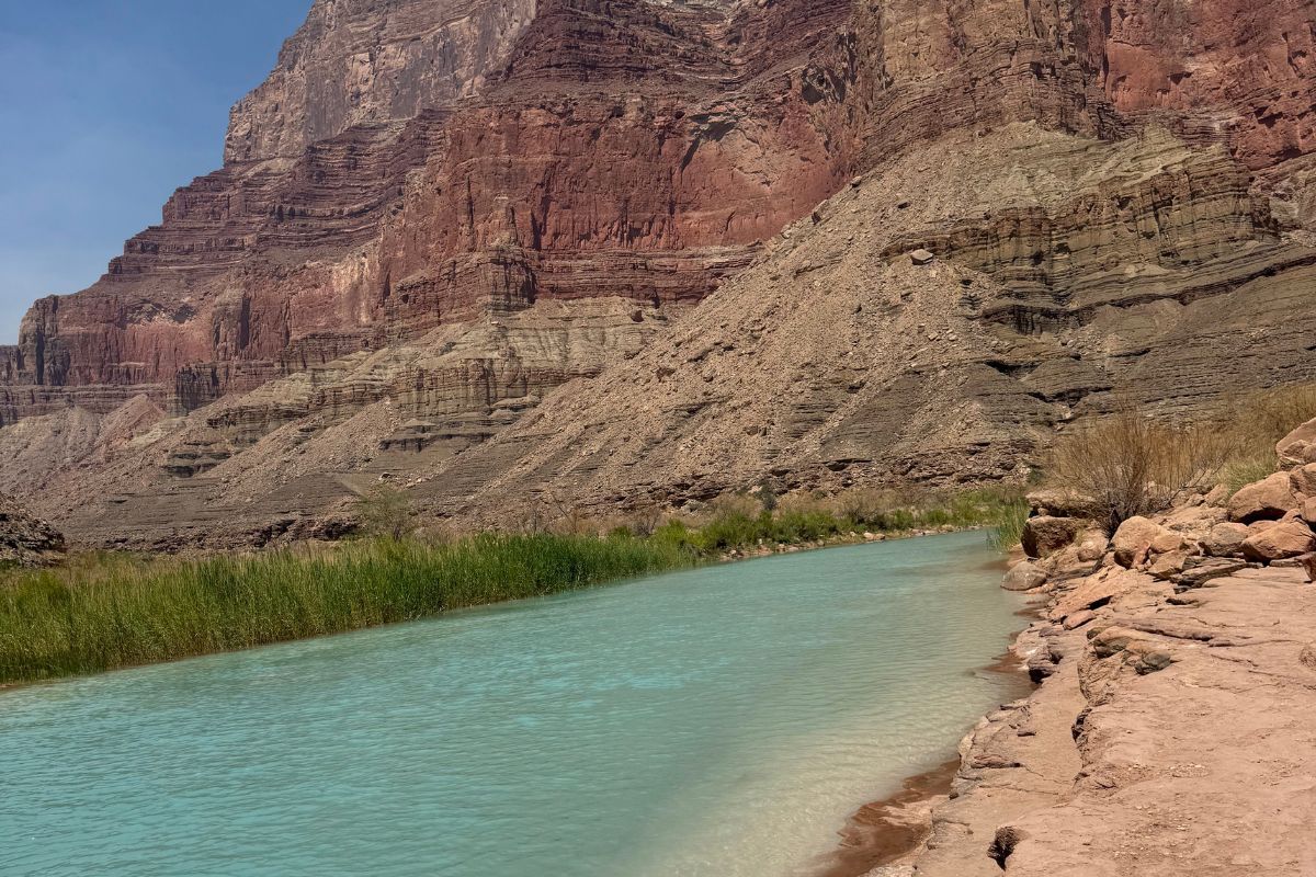 River flows through a canyon. Red and tan rock cliffs loom overhead. Turquoise water and green reeds.