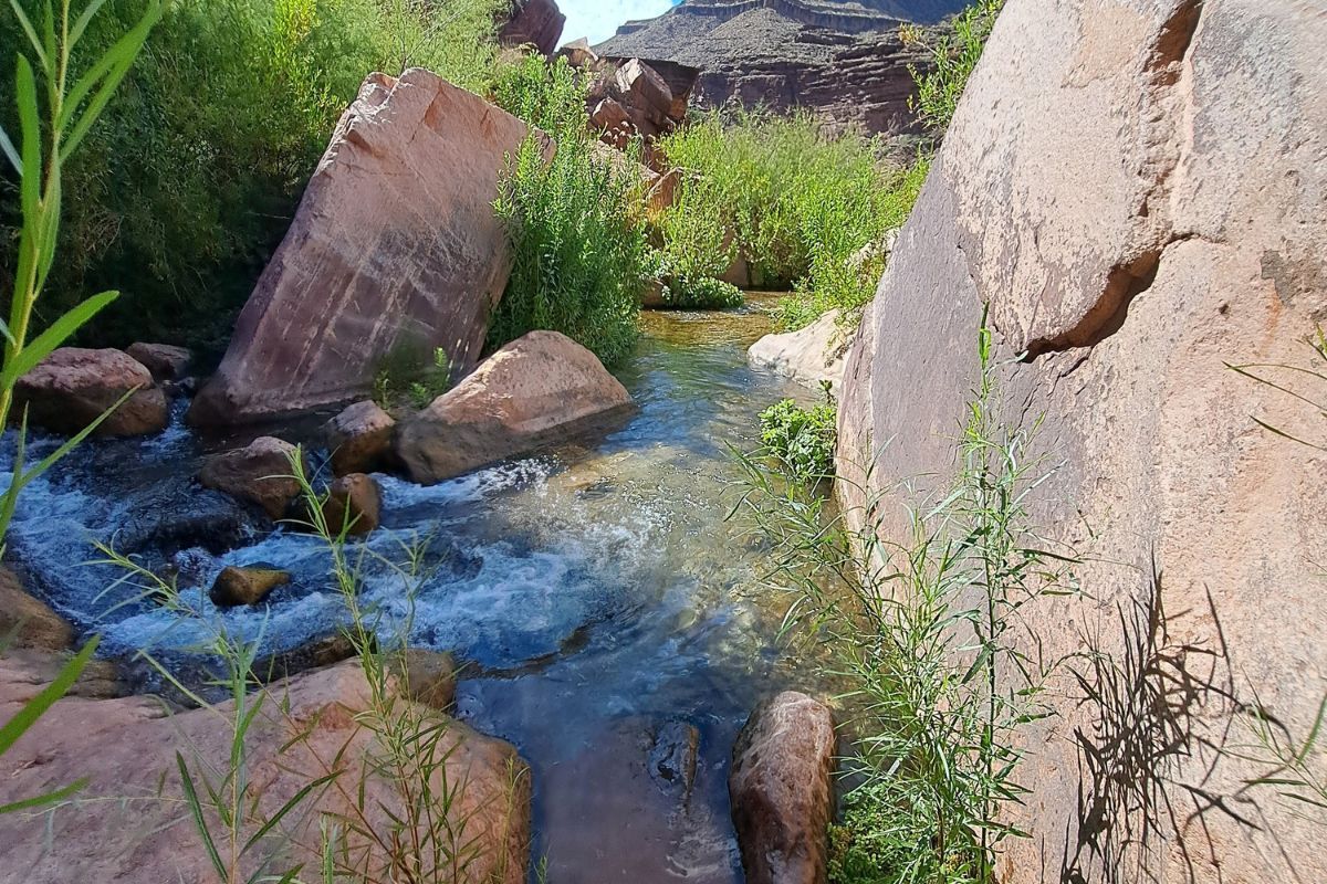 Stream flowing through a rocky canyon with green vegetation and boulders.