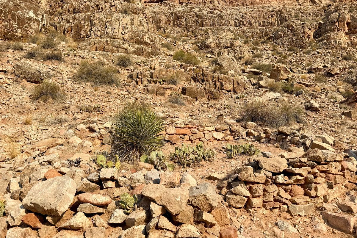 Rocky, arid landscape with dry brush and small cacti. Brown and tan tones dominate.