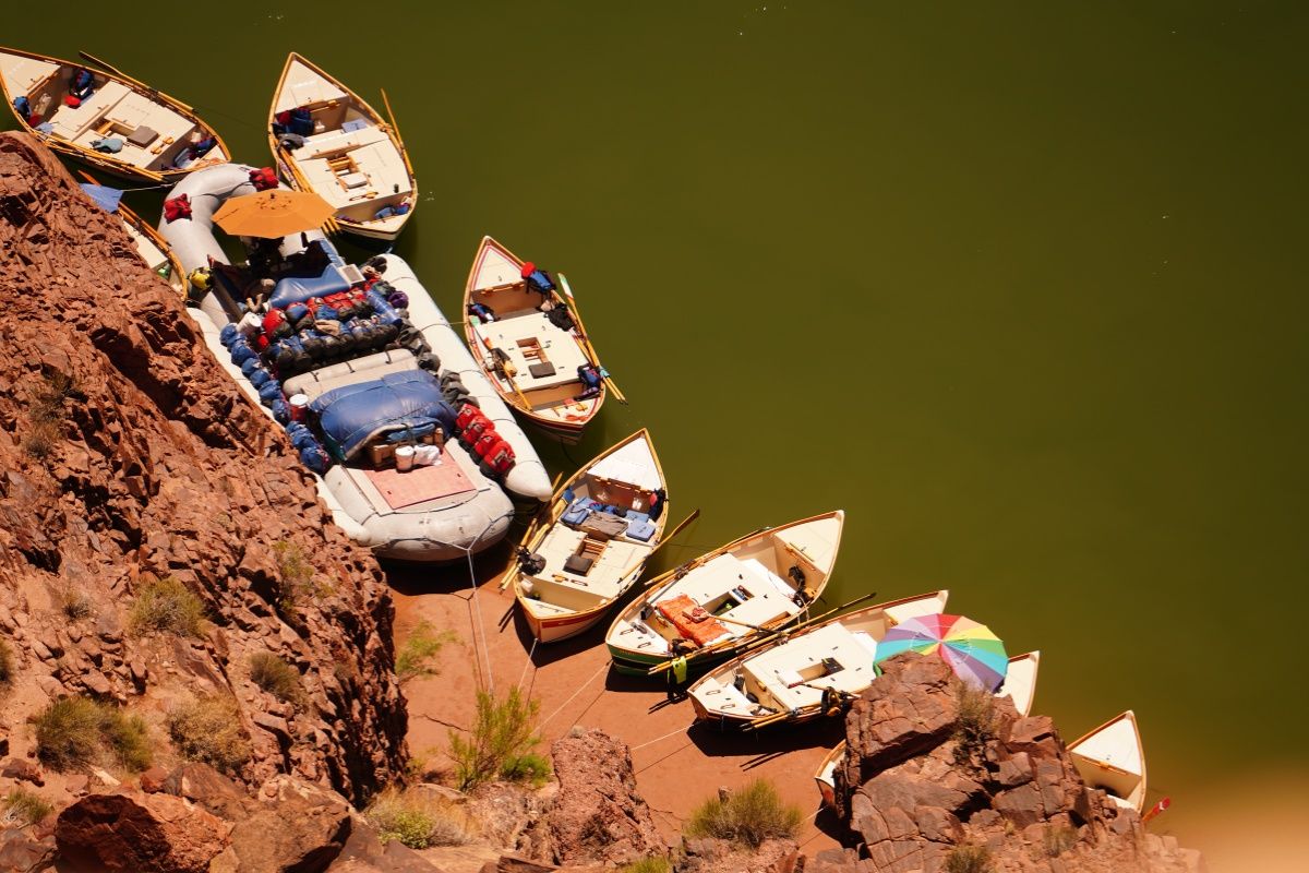 A row of boats are sitting on the shore of a lake.