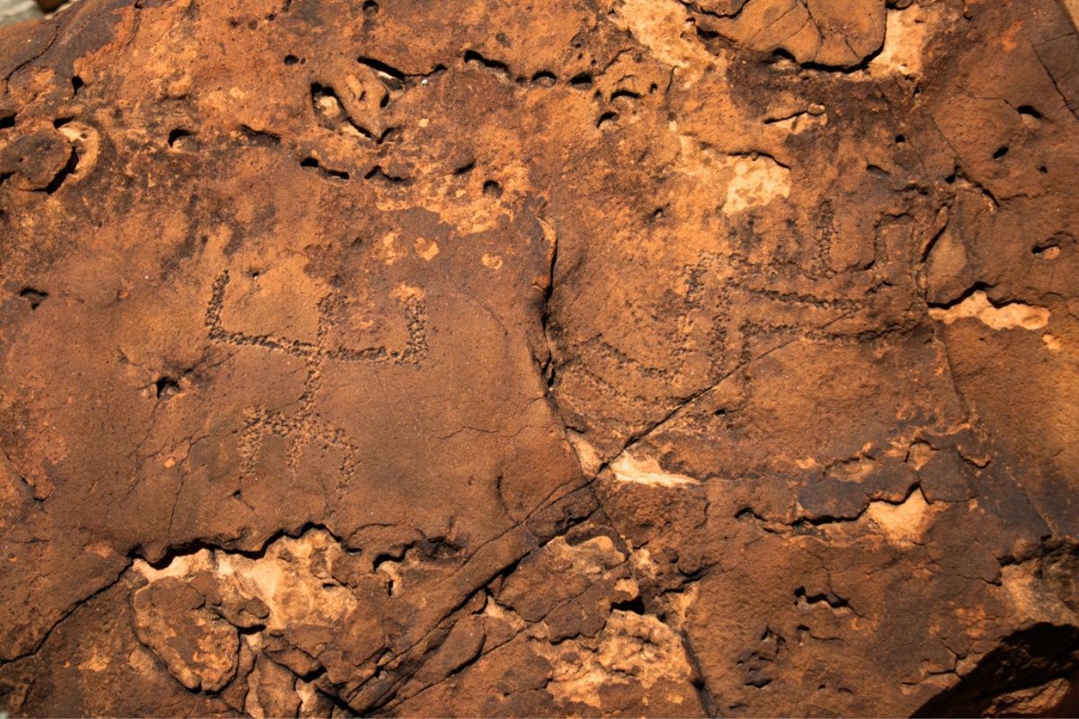 A close up of a brown rock with a lot of holes in it