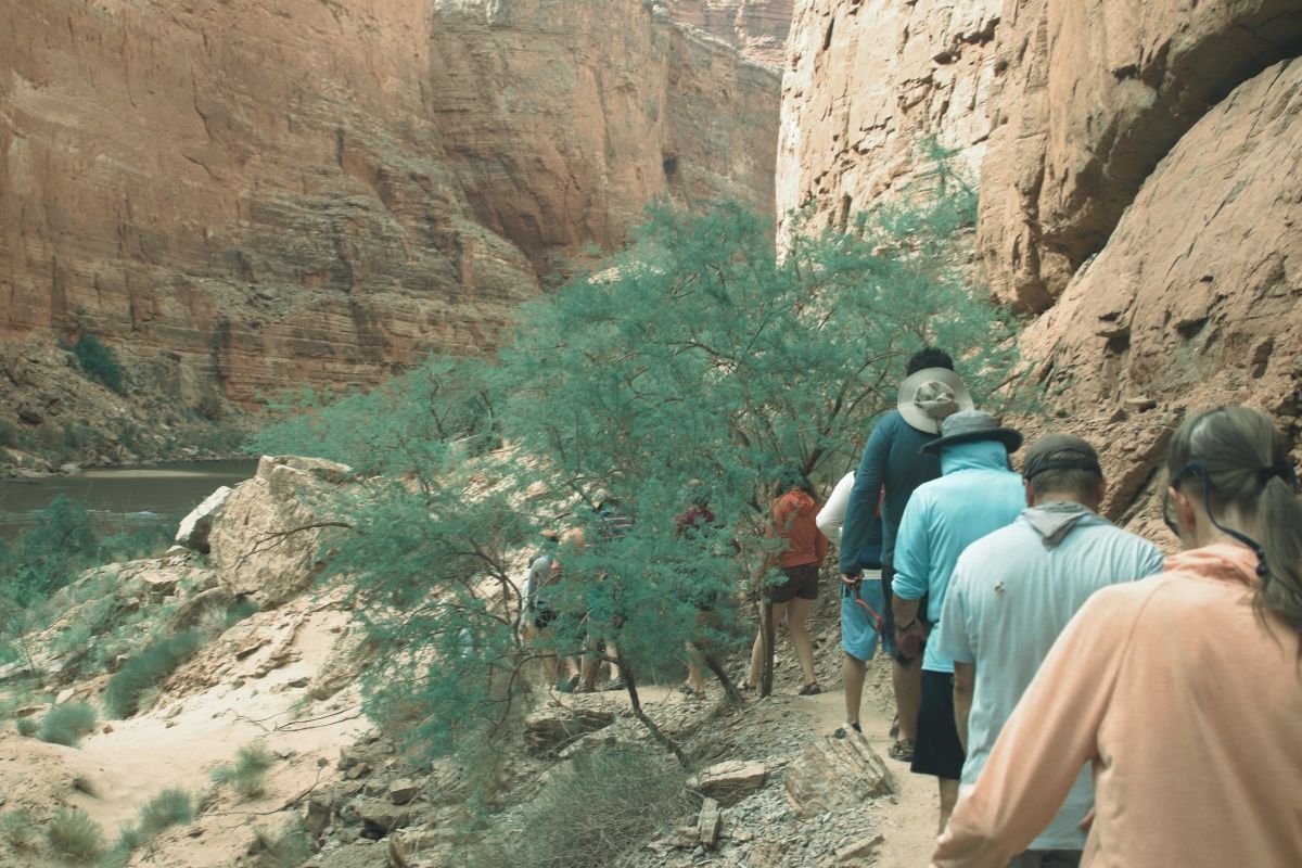 A group of people are walking down a trail in the desert