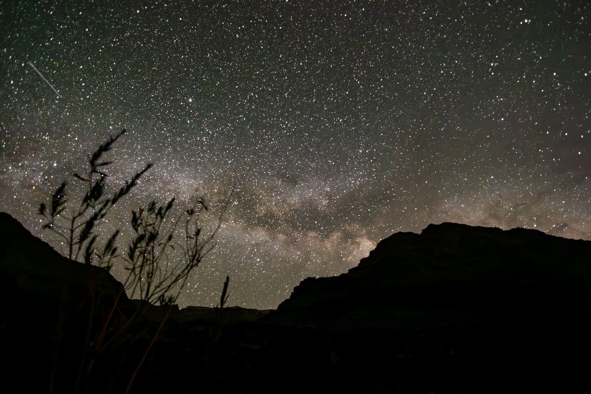 Night sky with the Milky Way above silhouetted mountains and vegetation.