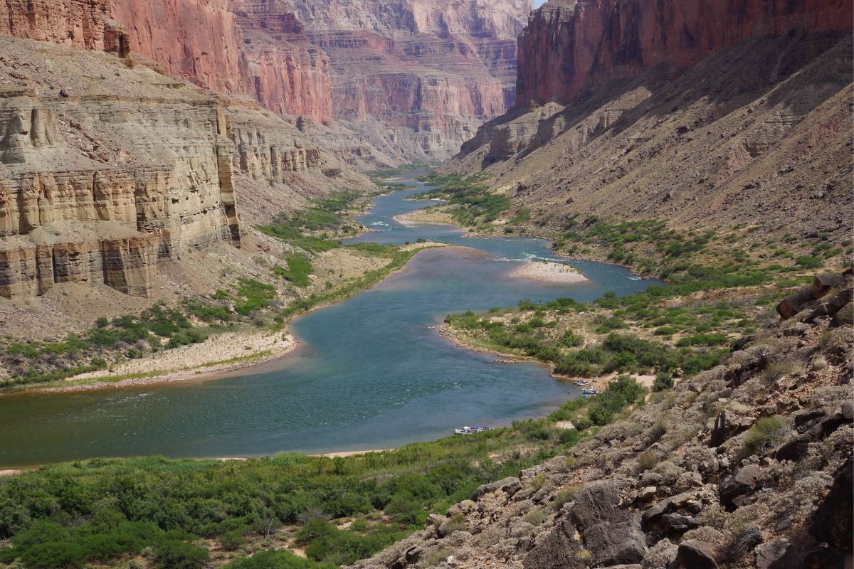 A river flowing through a canyon surrounded by trees