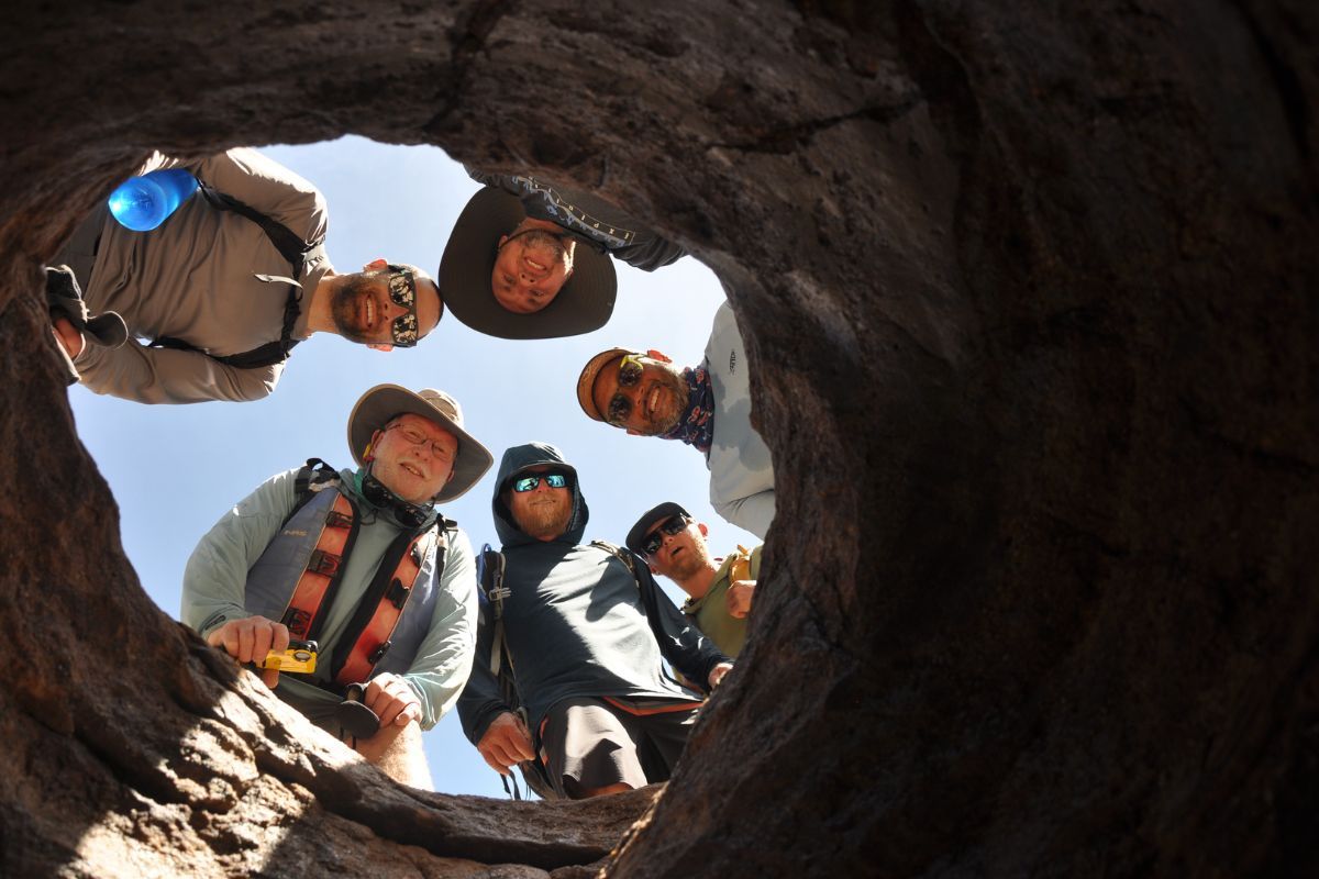 A group of people looking through a hole in a tree