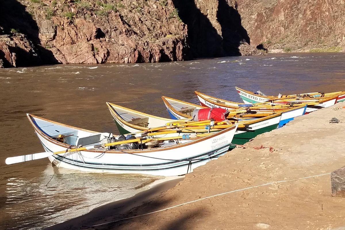 A row of boats are lined up on the shore of a river