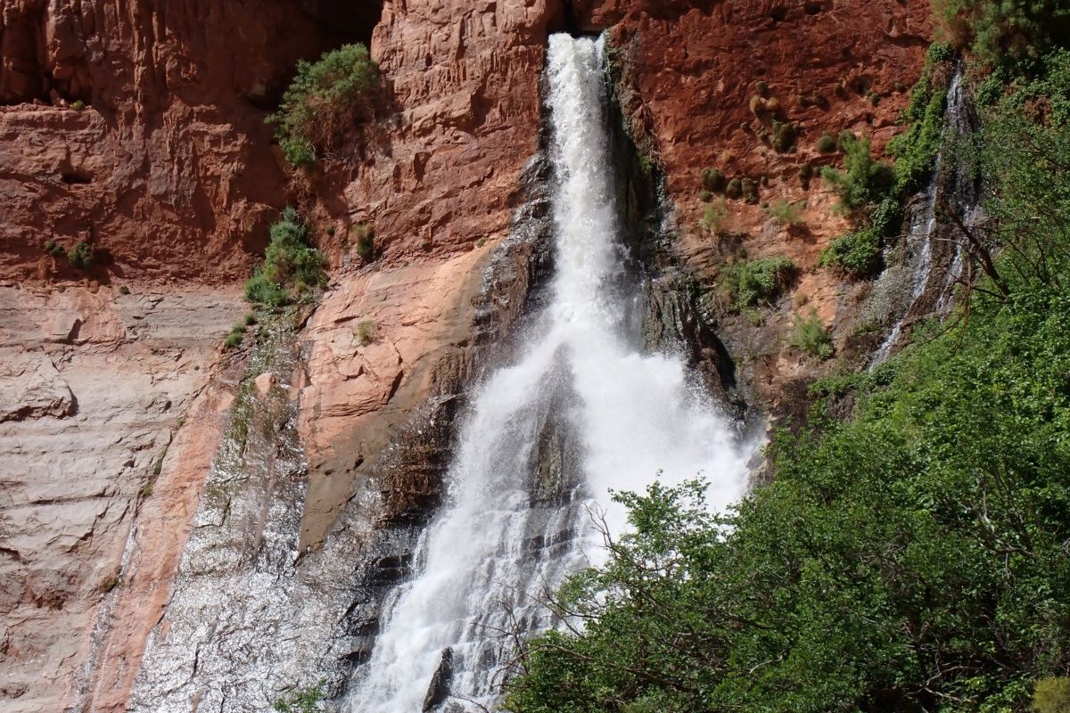 A waterfall is surrounded by trees and rocks in the middle of a canyon.
