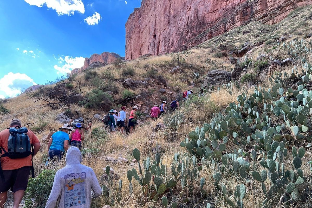 A group of people are hiking up a hill.