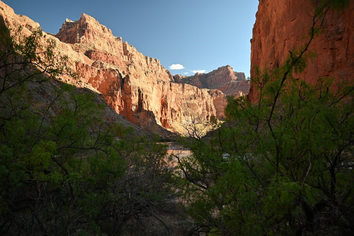 A canyon with trees and mountains in the background