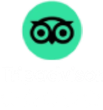 An owl icon in a green circle on a white background.