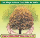 Hands cupping a tree; tagline "We Shape & Form Trees Like An Artist," website address at the bottom.