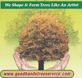 Hands cupping a tree; tagline "We Shape & Form Trees Like An Artist," website address at the bottom.