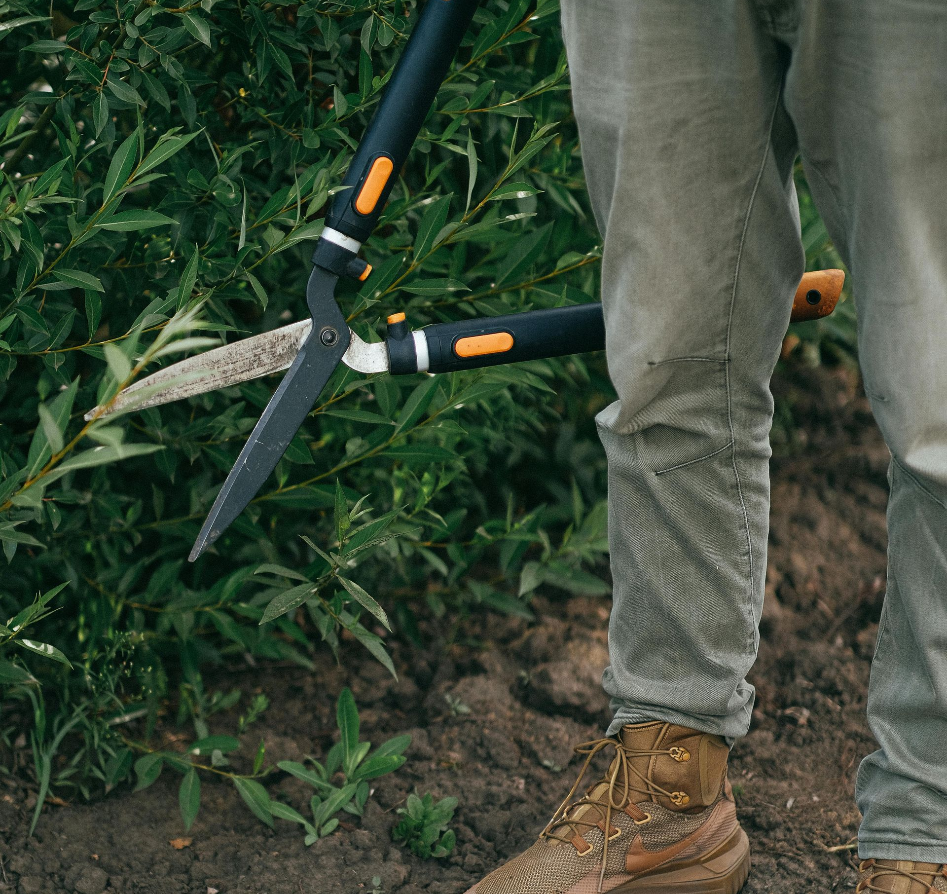 a man is using a chainsaw to cut a tree