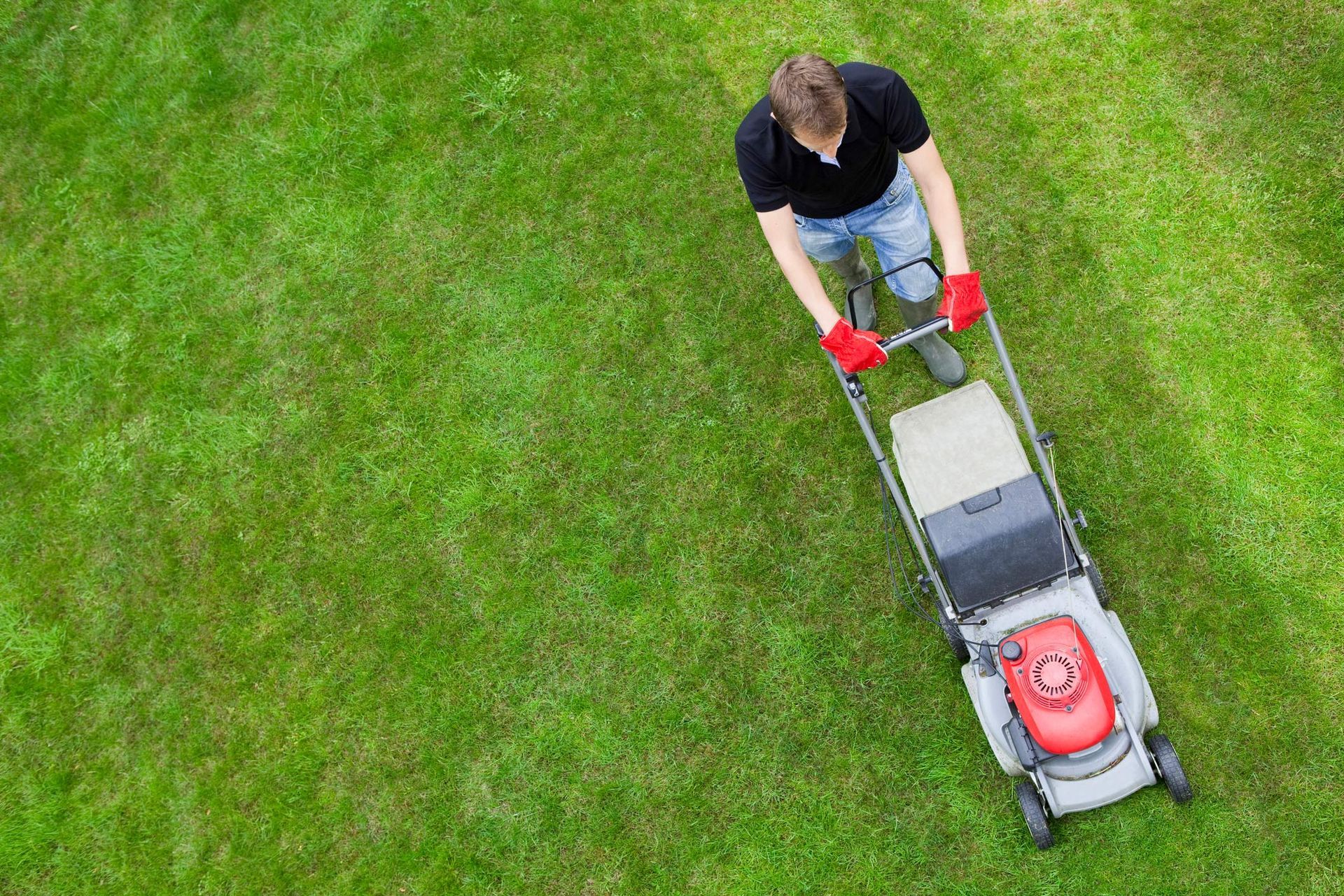 Man on Green Lawn With Push Mower — Celina, OH — Rovers Rocky Mountain Removers