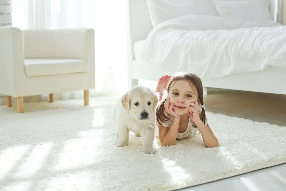Girl with Dog - Allow a Pet in Your Rental?