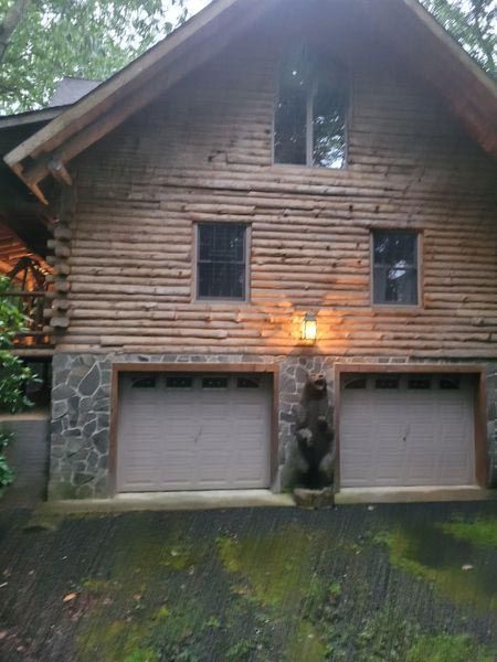 A log cabin with two garage doors and a bear statue in front of it