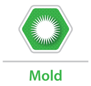 Mold Graphic — Honolulu, HI — Urgent Island Restoration (Baseyard)
