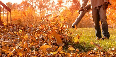 blowing fall leaves