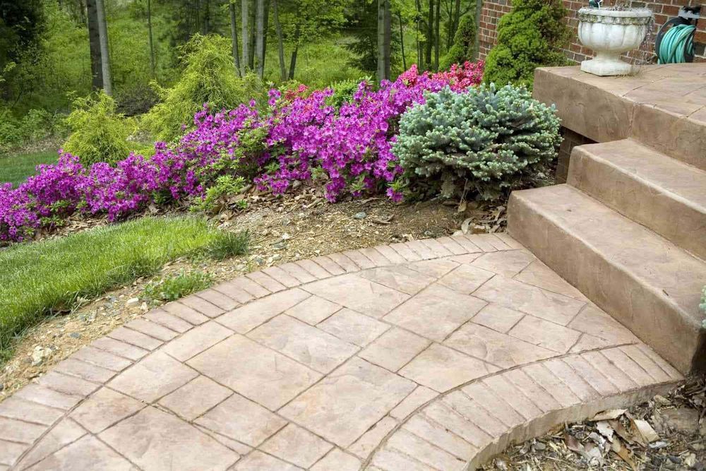A patio with steps and purple flowers in the background.