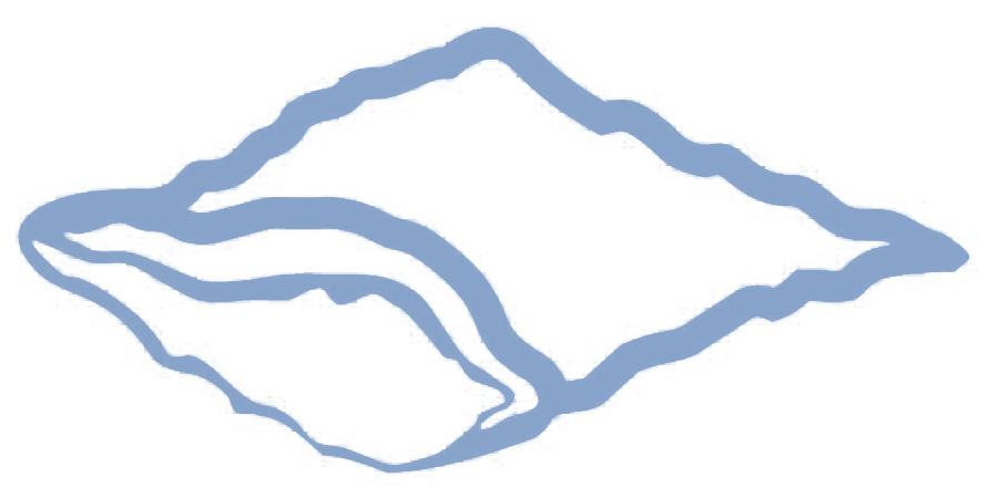 ICONA LOGO