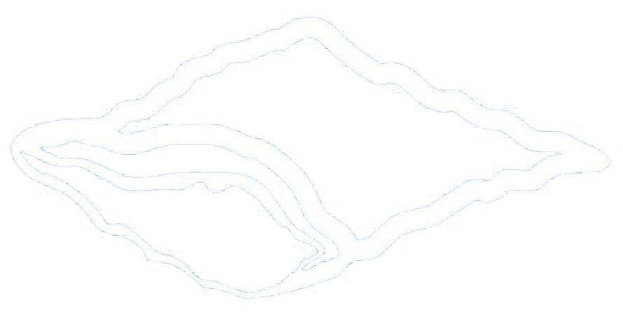 ICONA LOGO