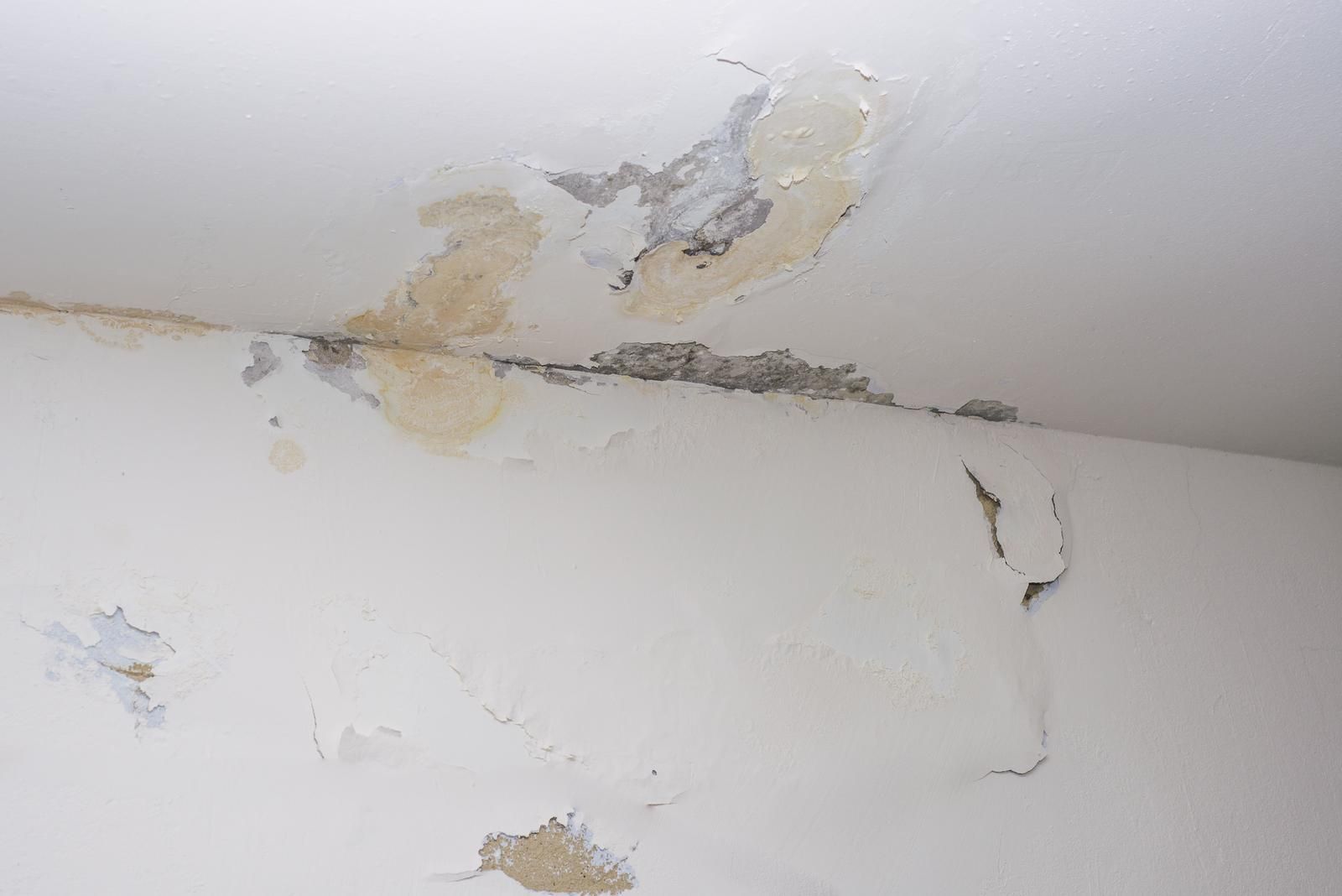 White ceiling and wall with peeling paint, showing signs of water damage.