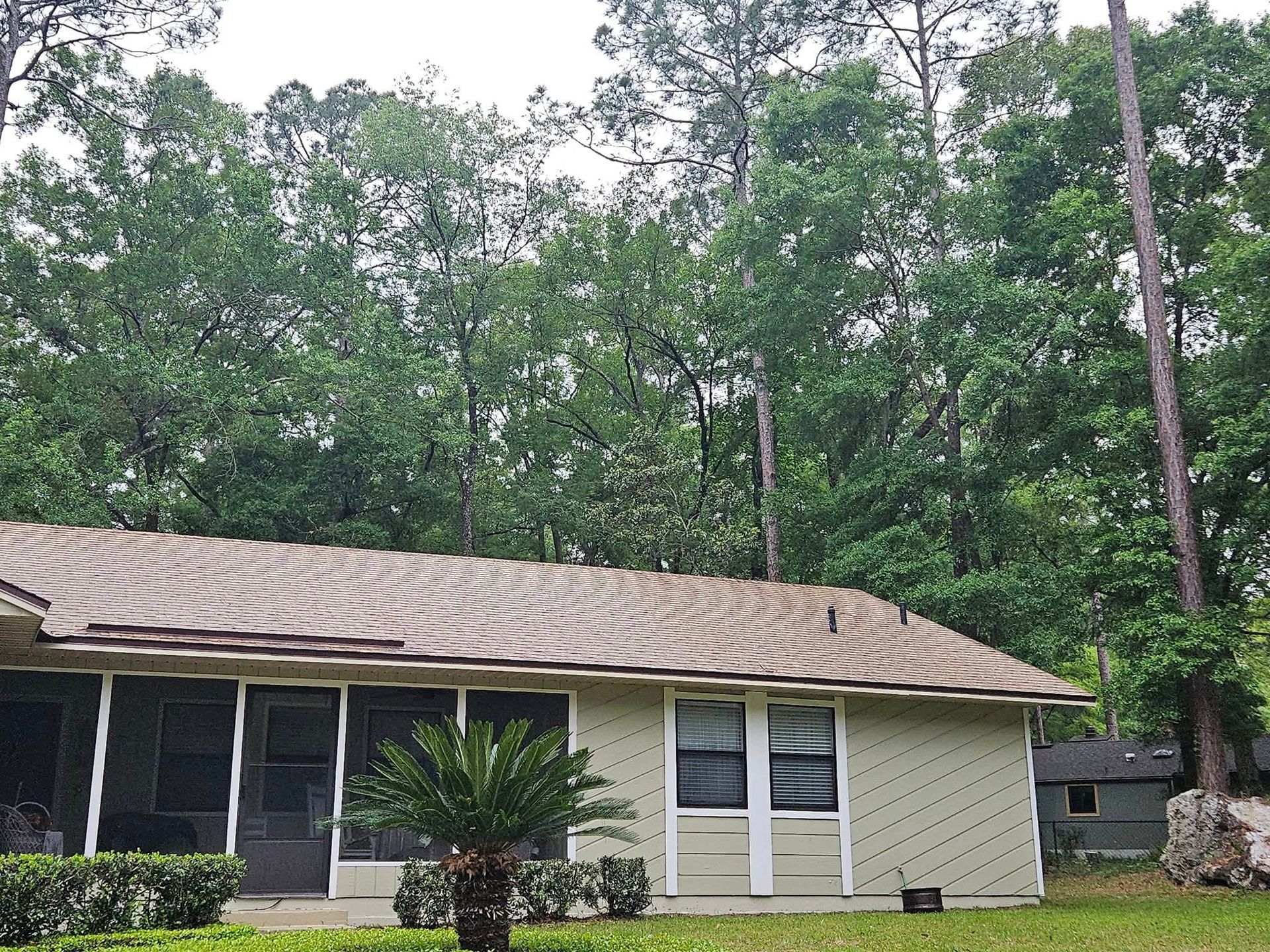 A small house with a screened in porch is surrounded by trees.
