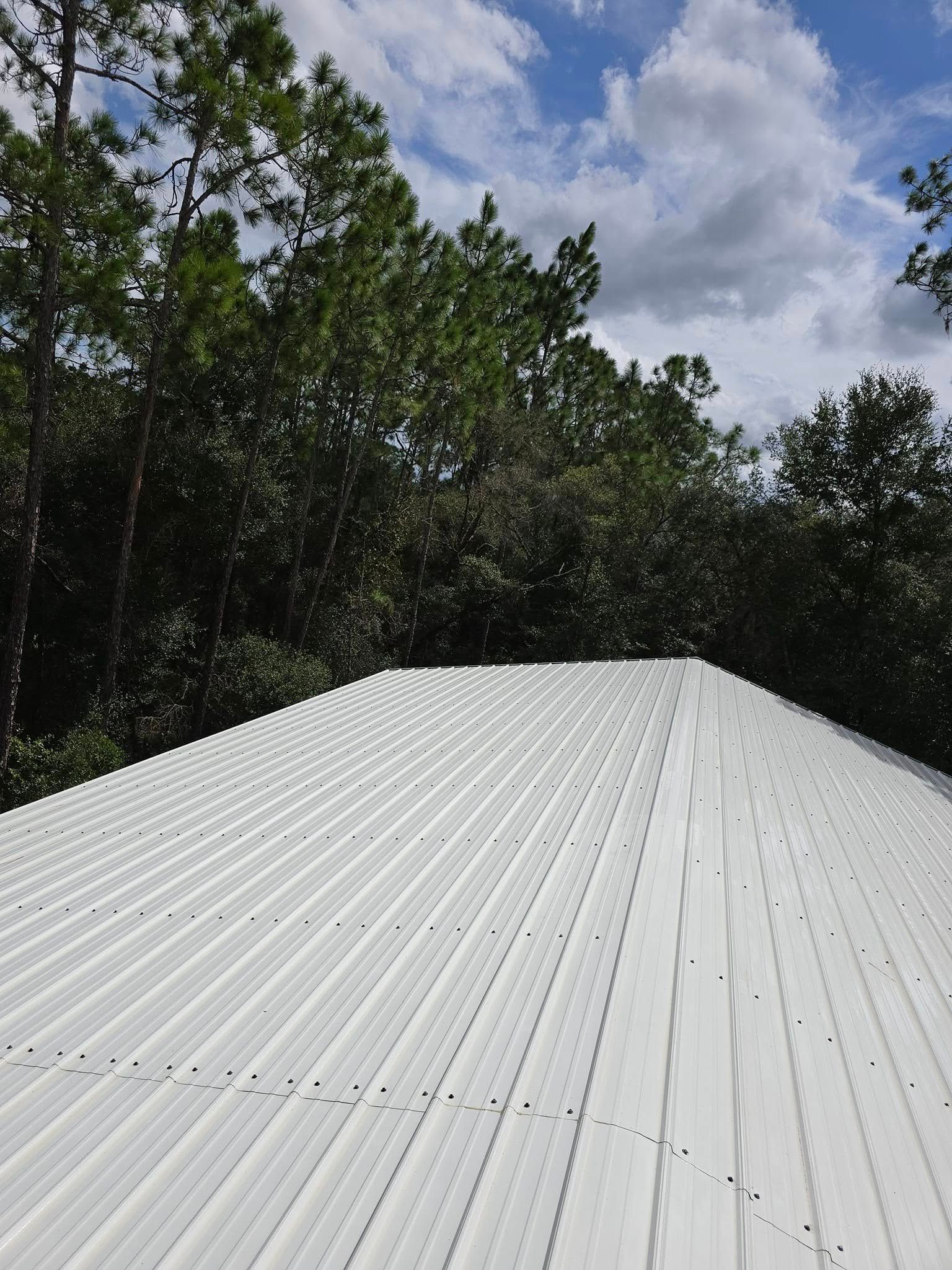 A white roof with trees in the background and a blue sky