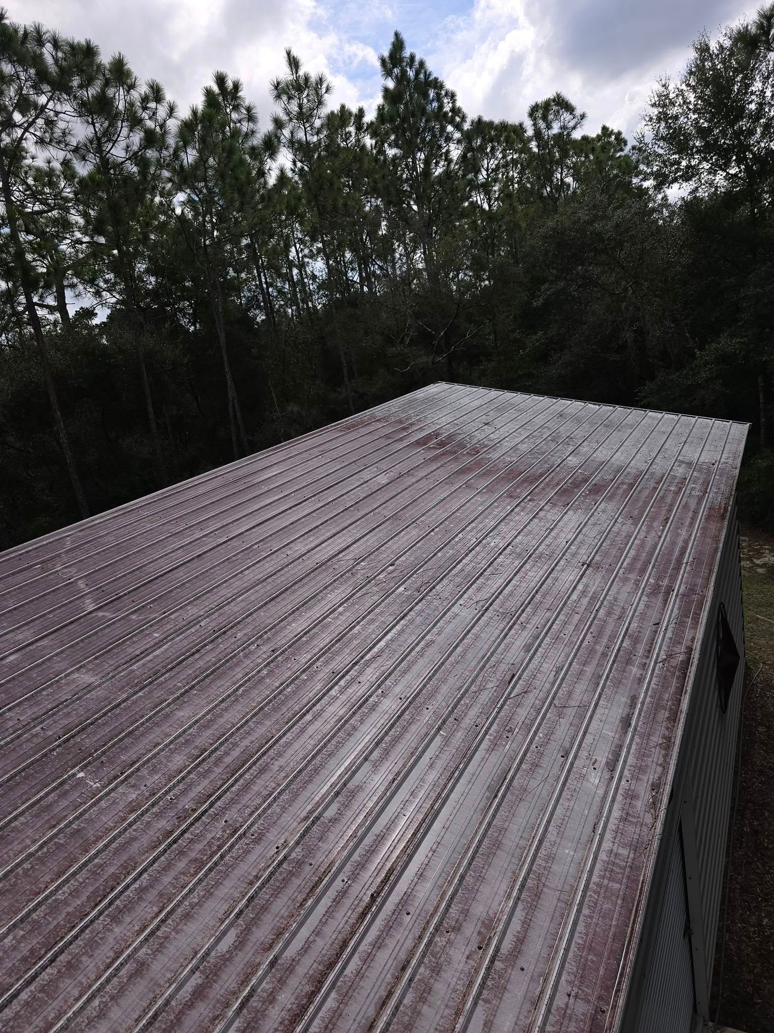 A roof of a building with trees in the background.