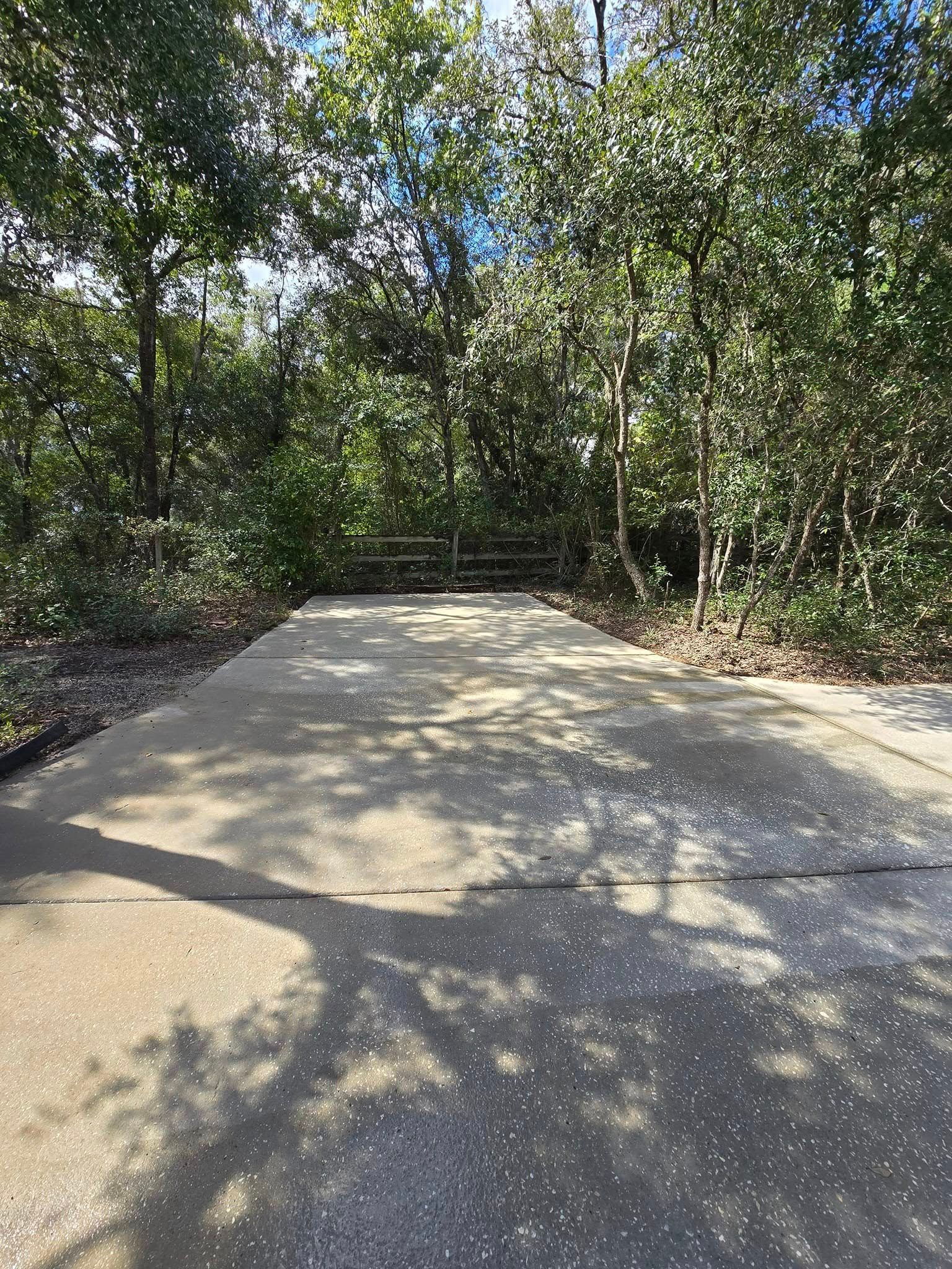 A concrete driveway surrounded by trees on a sunny day.