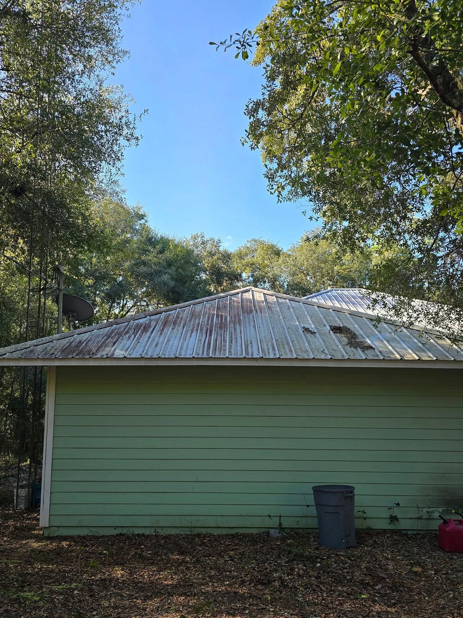 A green house with a rusty metal roof is surrounded by trees.