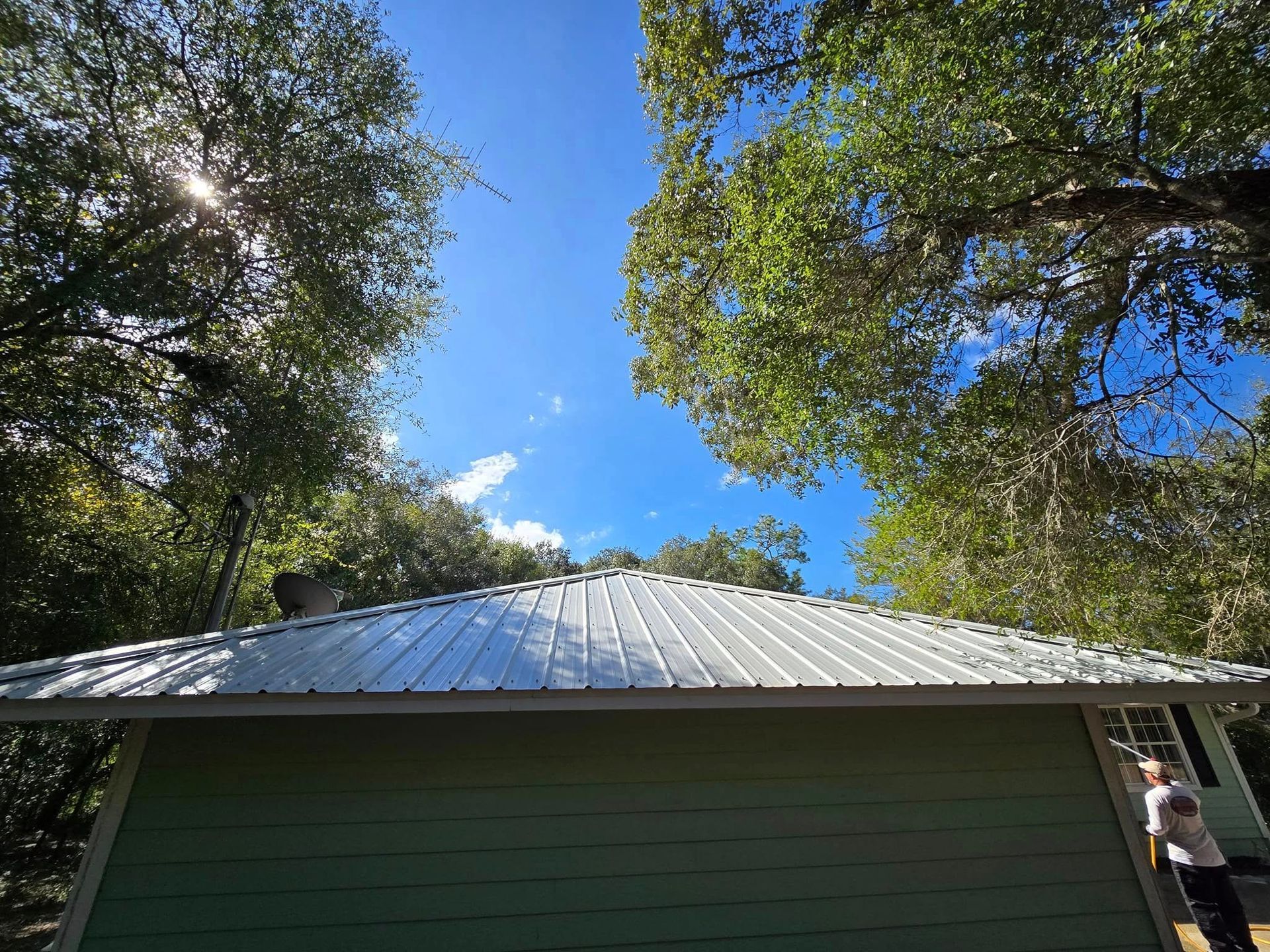 A green house with a metal roof and trees in the background.