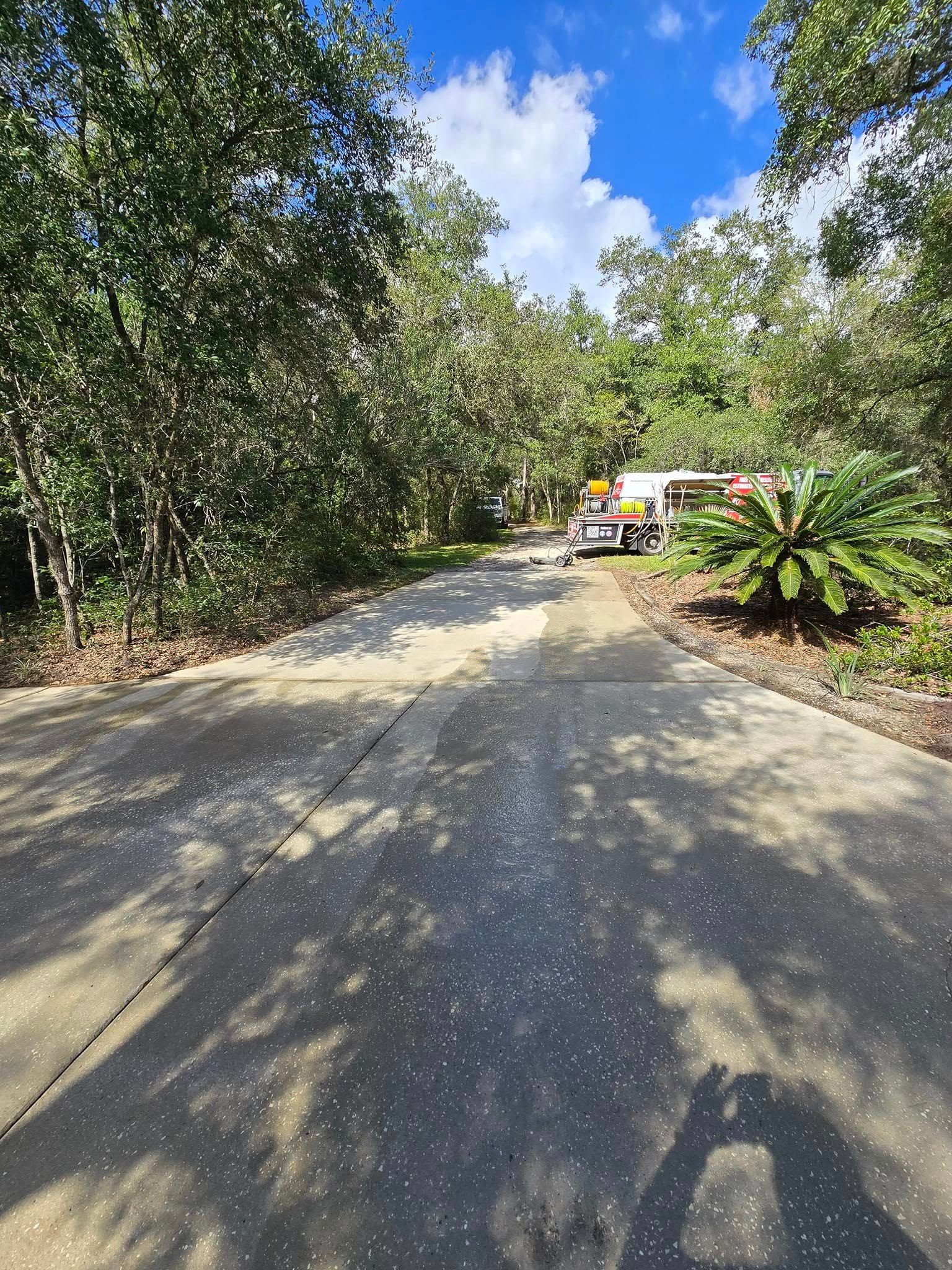 A concrete driveway surrounded by trees on a sunny day.