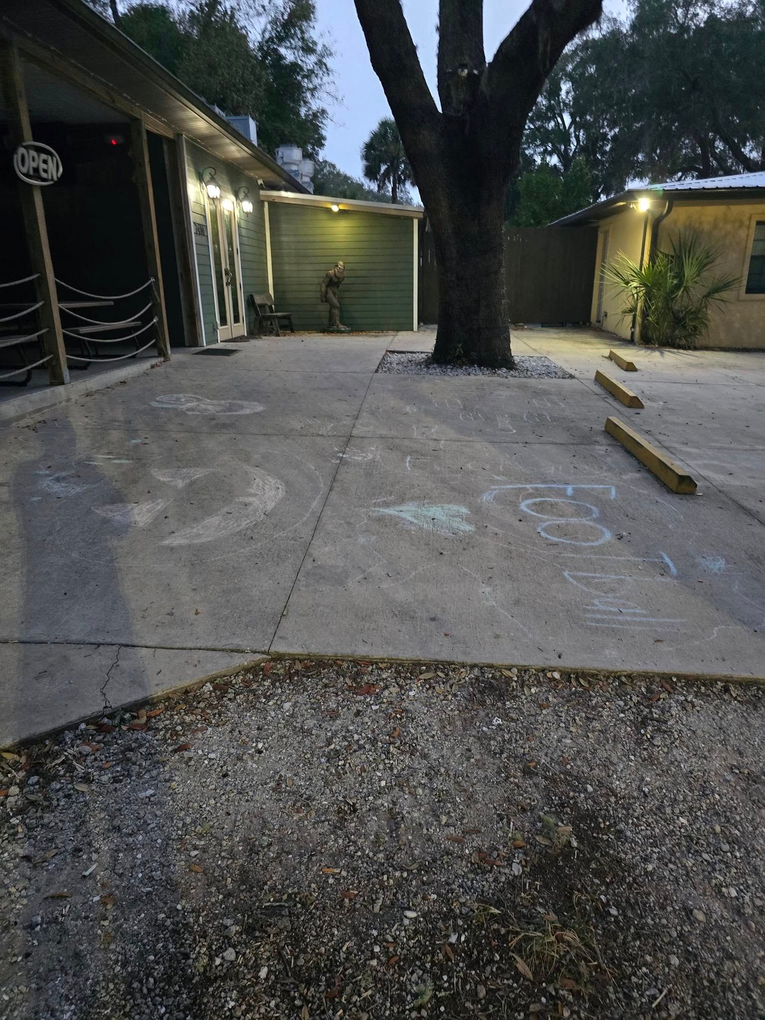 A driveway with a tree in the middle of it and a house in the background.