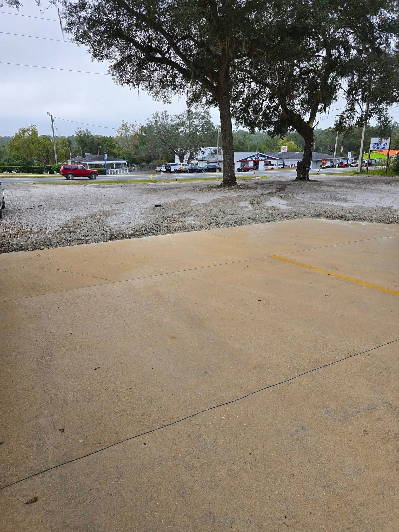 A red truck is parked in a parking lot next to a tree.