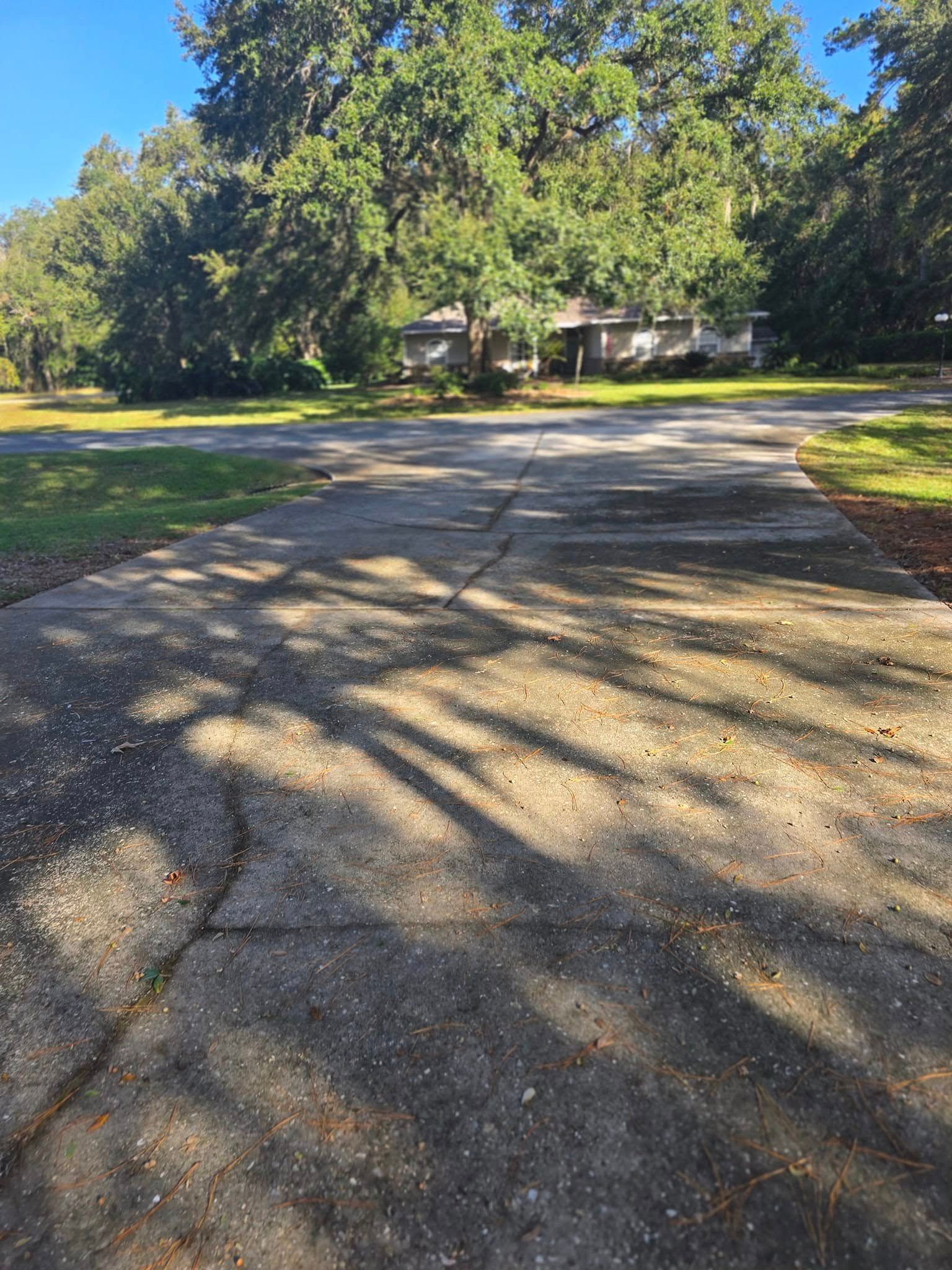 A concrete driveway leading to a house with trees on both sides