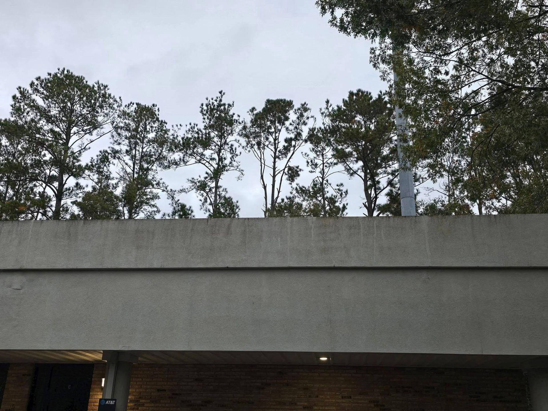 A roof with trees on it and a cloudy sky in the background