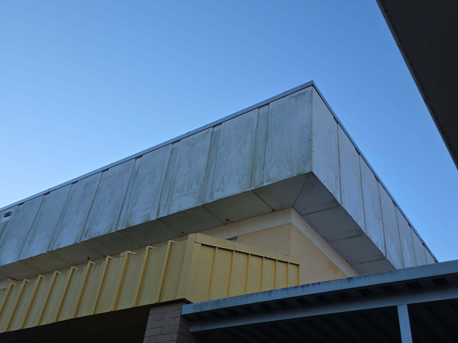 A sidewalk leading to a house in the middle of a lush green yard.