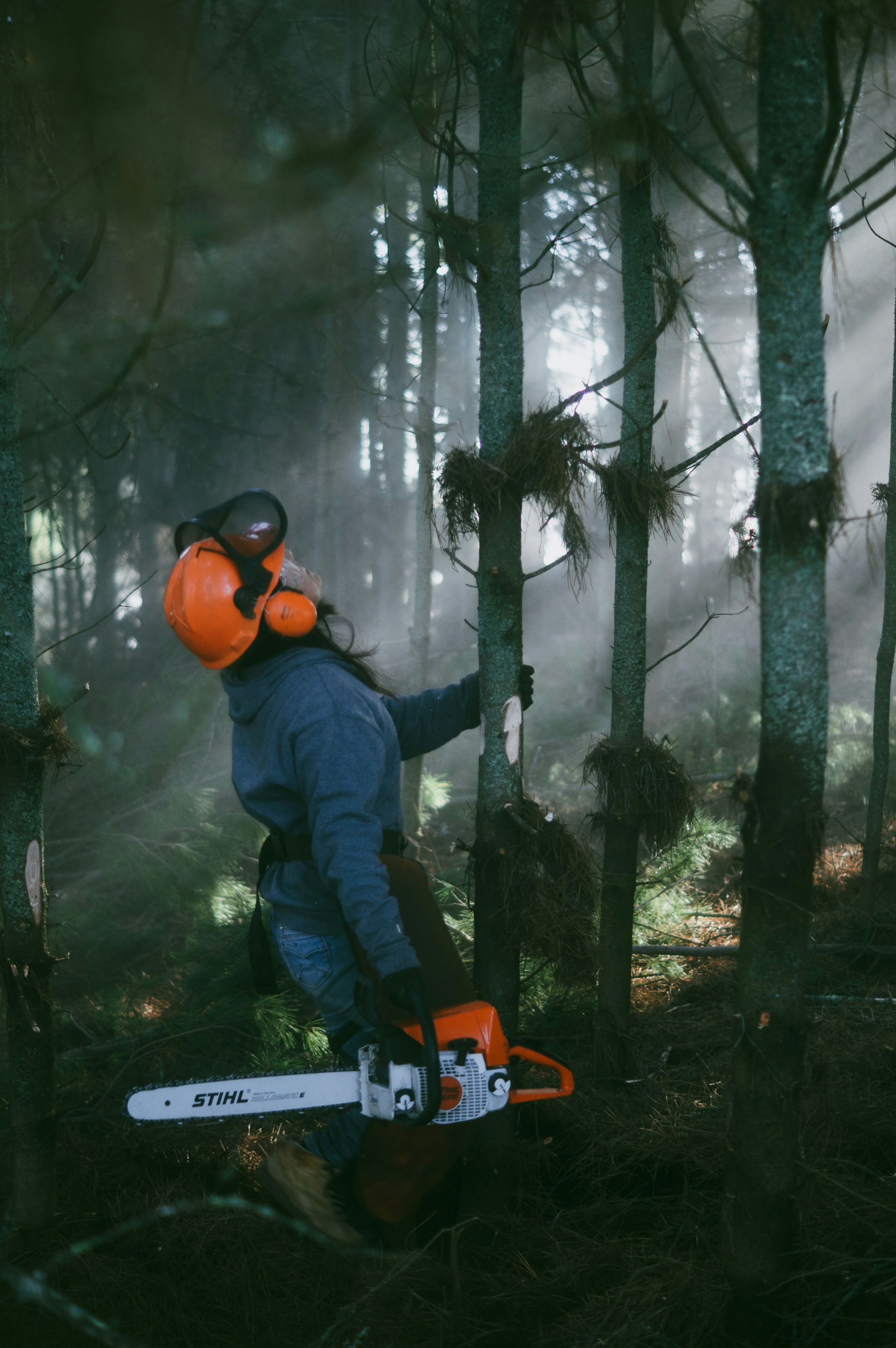 A man is cutting a tree with a chainsaw in the woods.