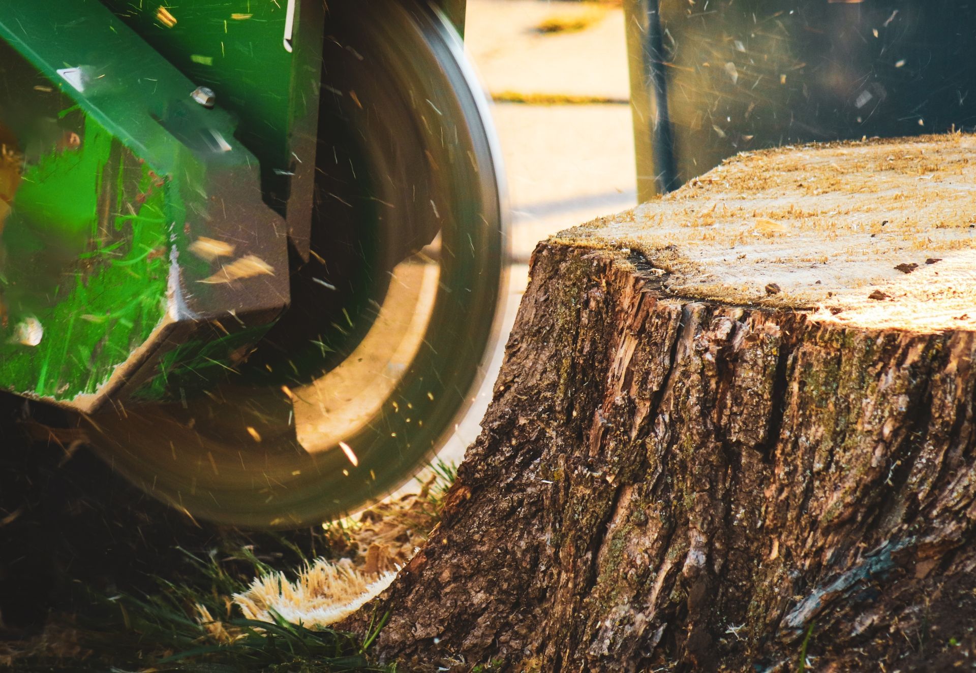 A tree stump being ground down by a green stump grinder.