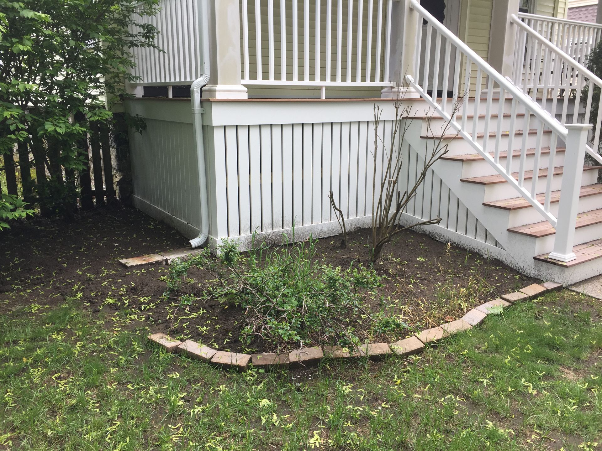 Deck Building Service